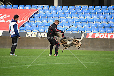 Dolf von S.K. Lieben
