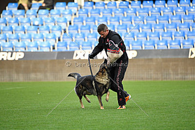 Dolf von S.K. Lieben