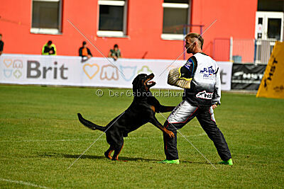 Donner vom Illergries