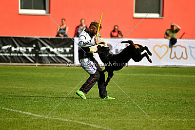 Donner vom Illergries