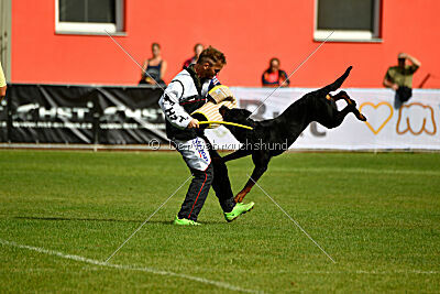 Donner vom Illergries