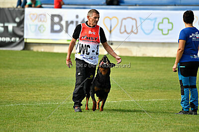 Donner vom Illergries