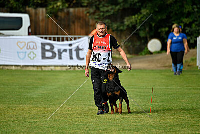 Donner vom Illergries