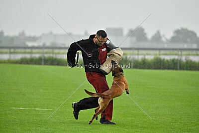 Don't touch vom Stockborn