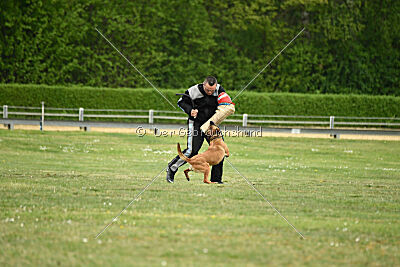 Don't touch vom Stockborn