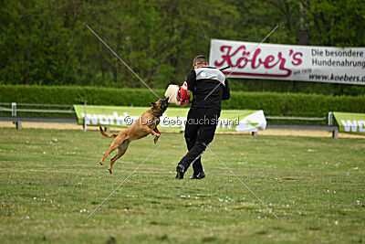 Don't touch vom Stockborn