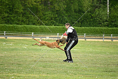 Don't touch vom Stockborn