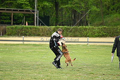 Don't touch vom Stockborn