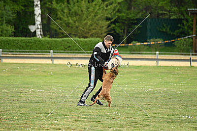 Don't touch vom Stockborn