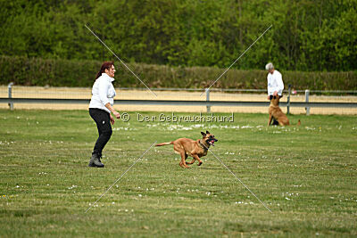 Don't touch vom Stockborn