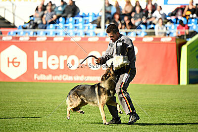 Dooly of Dog Training