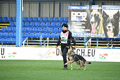 Dooly of Dog training