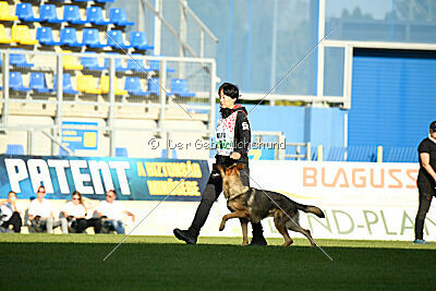 Dooly of Dog training