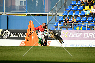 Dooly of Dog training