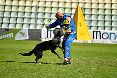 Drago vom Haus Conlie