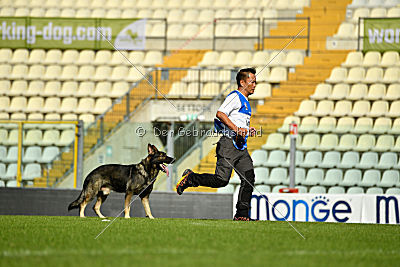 Drago vom Haus Conlie