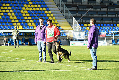 Drago vom Niederbühler Tor