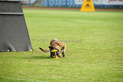 Dragonheart Gigi Marenberska