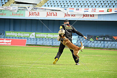 Dragonheart Gigi Marenberska