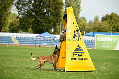 Dragonheart Gigi Marenberska