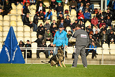 Duke vom Spektefeld
