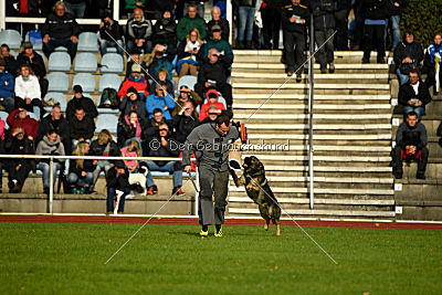 Duke vom Spektefeld