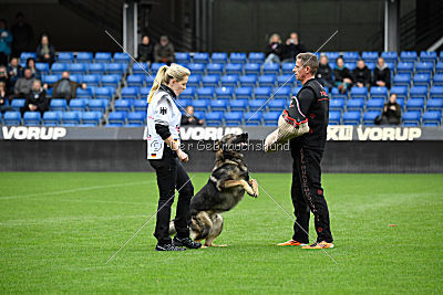 Duke vom Spektefeld