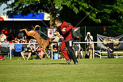 Duncan Dubalta vom Clan der Wölfe