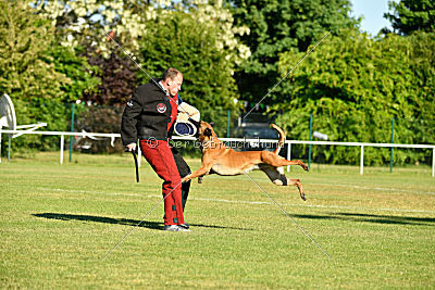 Duncan Dubalta vom Clan der Wölfe