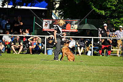 Duncan Dubalta vom Clan der Wölfe