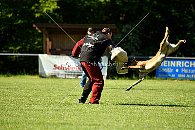 Duncan Dubalta vom Clan der Wölfe