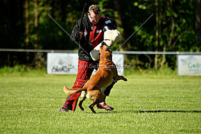 Duncan Dubalta vom Clan der Wölfe