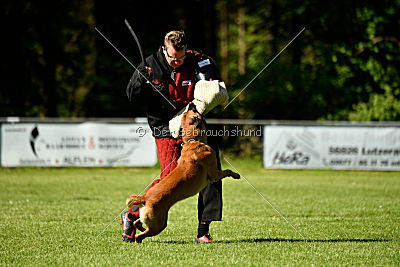 Duncan Dubalta vom Clan der Wölfe