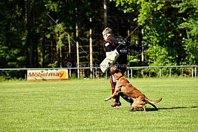 Duncan Dubalta vom Clan der Wölfe