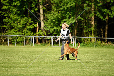 Duncan Dubalta vom Clan der Wölfe