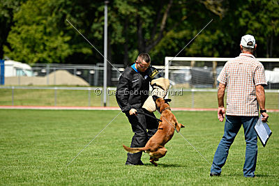 Duncan Dubalta vom Clan der Wölfe
