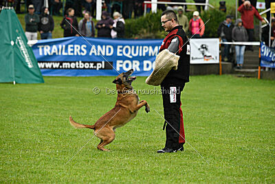 Duncan Dubalta vom Clan der Wölfe