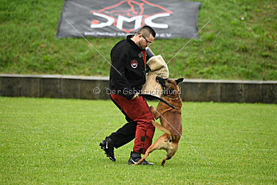 Duncan Dubalta vom Clan der Wölfe