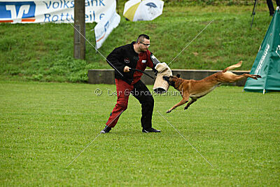 Duncan Dubalta vom Clan der Wölfe