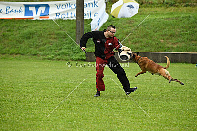 Duncan Dubalta vom Clan der Wölfe