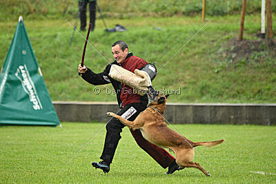 Duncan Dubalta vom Clan der Wölfe