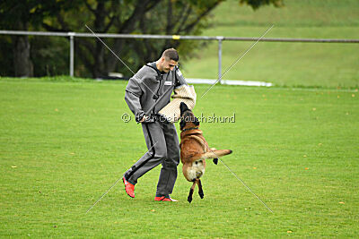 Dundee vom roten Drachen