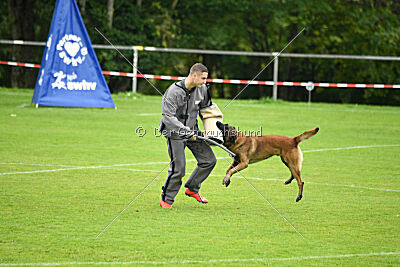 Dundee vom roten Drachen