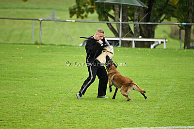 Dundee vom roten Drachen