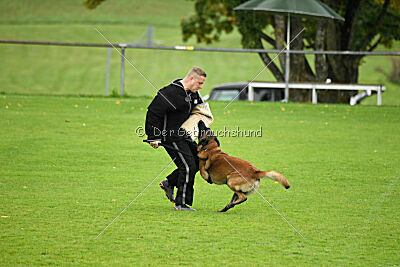 Dundee vom roten Drachen