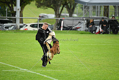 Dundee vom roten Drachen