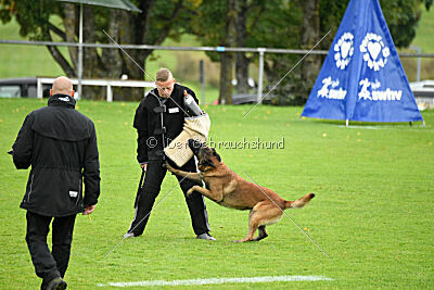 Dundee vom roten Drachen