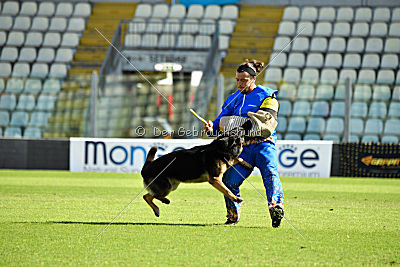 Dusty vom grauen Indianer