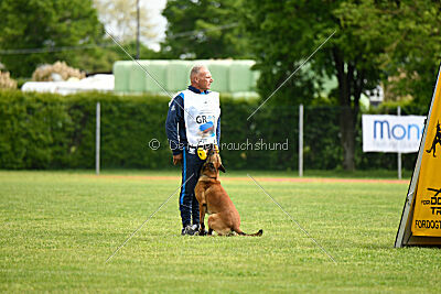 Duuni de Fontemordant