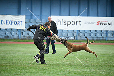 Duuni de Fontemordant